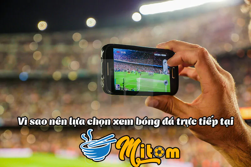 Mitom TV - mitom1.site: Lịch thi đấu bóng đá cập nhật sớm nhất